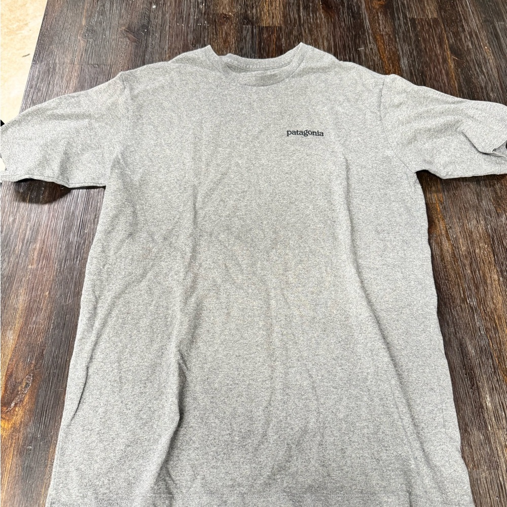 Patagonia Classic Gray Short Sleeve Tee
